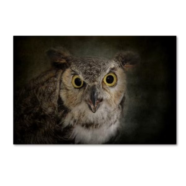 Jai Johnson 'Great Horned Owl' Canvas Art, 16x24, Trademark Fine Art, Mfr#: ALI13847-C1624GG
